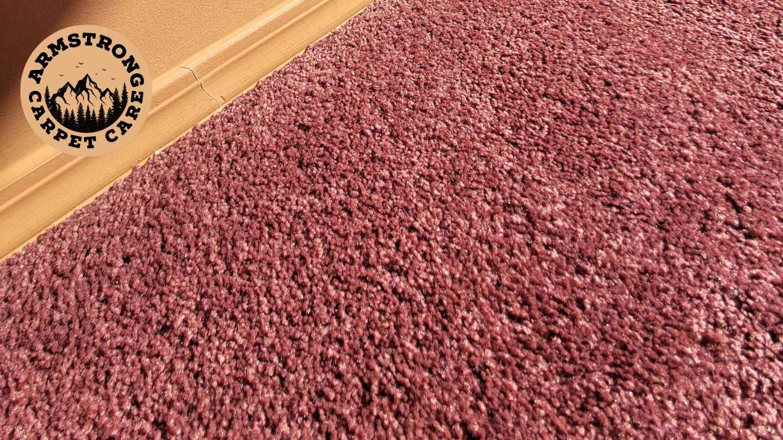 Armstrong Carpet Care logo shown over freshly cleaned carpet