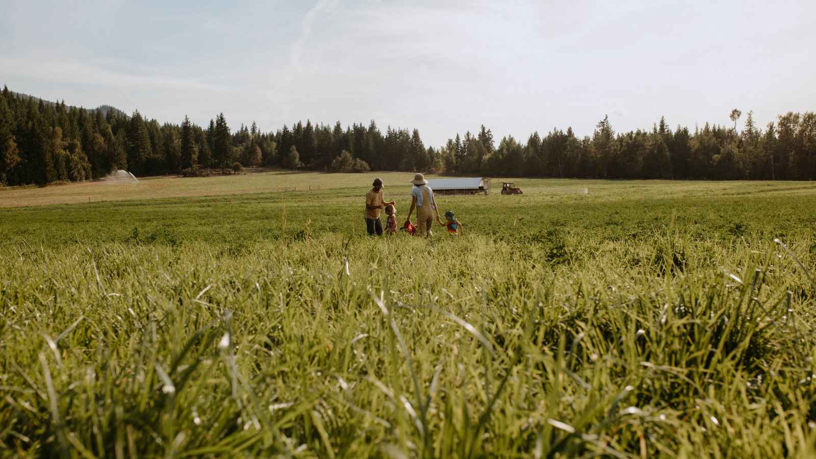 Fresh Valley Farms pasture-raised livestock in Spallumcheen