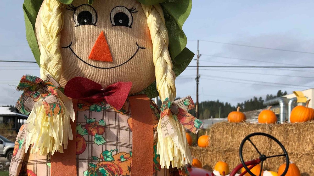 A harvest scarecrow with pigtails beside pumpkins and hay bales