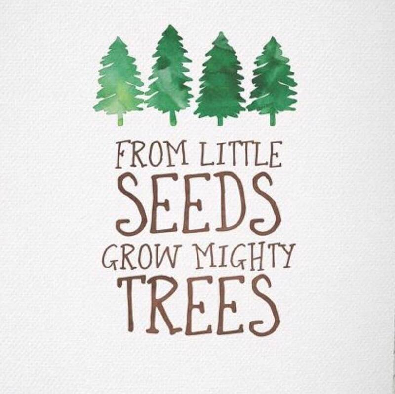 Little Seedlings Daycare is trusted to care for children while you go to work. 