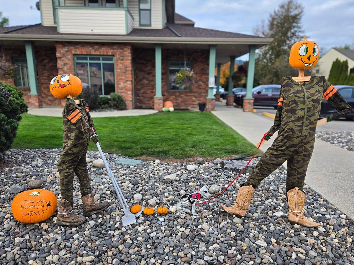 Armstrong Veterinary Clinic's winning 2025 scarecrow display: two pumpkin-headed farmers and a skeleton dog